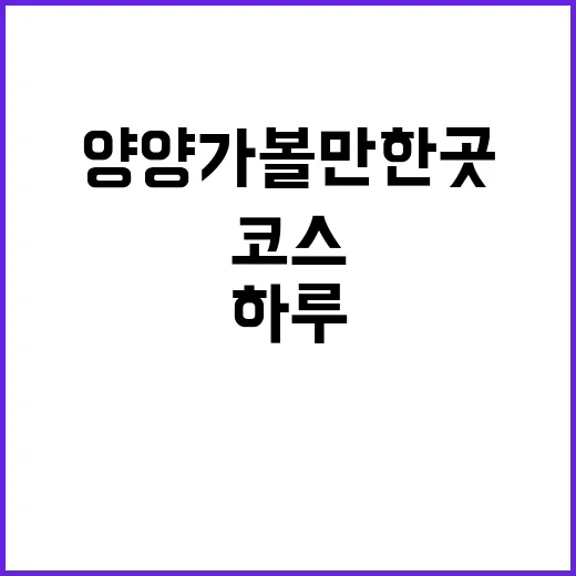 양양가볼만한곳 알뜰하게 하루 코스로 도는 방법 - 요약