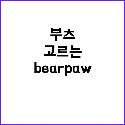 BEARPAW 부츠 고르는 방법, 발 시림 줄이려면 이렇게 보세요 - 요약