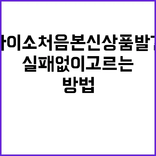 다이소 처음 본 신상품 발견했을 때 실패 없이 고르는 방법 - 요약