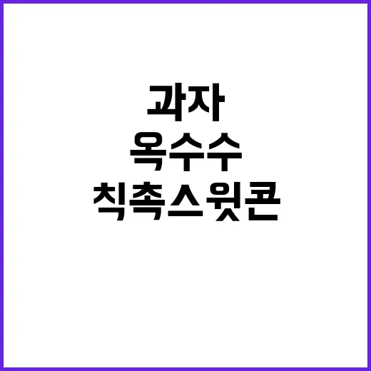 칙촉 스윗콘 맛있게 먹는 방법, 달달한 옥수수맛 과자 고를 때 참고할 점 - 요약