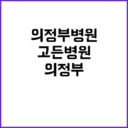 의정부병원 고든병원 가기 전 헛걸음 줄이는 확인 방법 - 요약