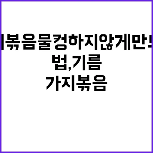 가지볶음 물컹하지 않게 만드는 방법, 기름 적게 쓰고 감칠맛 살리는 법 - 요약