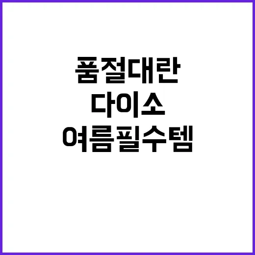 다이소 여름 필수템 Best5 품절대란 전에 고르는 방법 - 요약