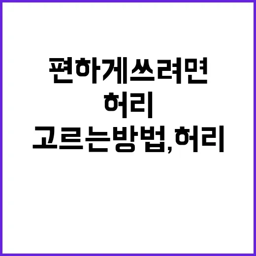 니체어 고르는 방법, 허리 편하게 쓰려면 이렇게 보세요 - 요약