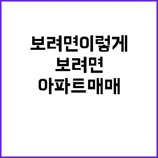제주아파트매매 처음 보려면 이렇게 확인하는 방법 - 요약