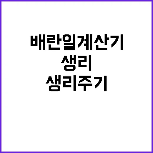 배란일계산기 제대로 쓰는 방법, 생리주기부터 가임기까지 쉽게 잡기 - 요약