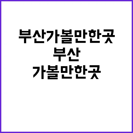 부산가볼만한곳 처음 가는 분은 이렇게 코스 짜면 덜 헤맵니다 - 요약