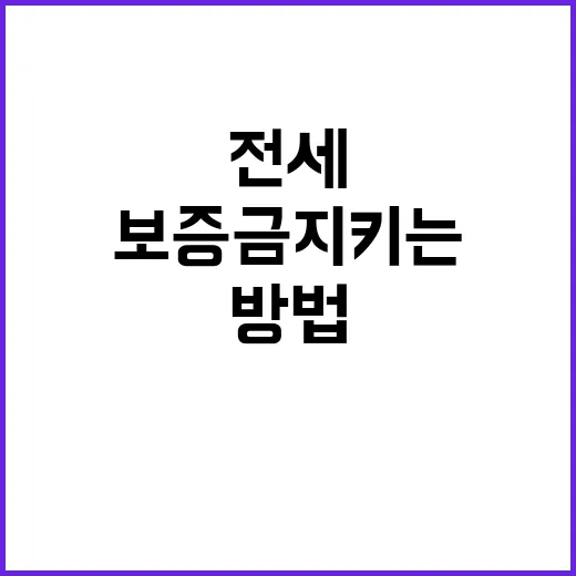 투룸전세 구하려면 이렇게 체크하세요: 보증금 지키는 실전 방법 - 요약