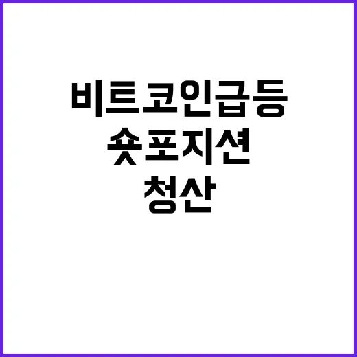 비트코인 급등: 숏 포지션 청산과 고점까지의 여정 - 요약