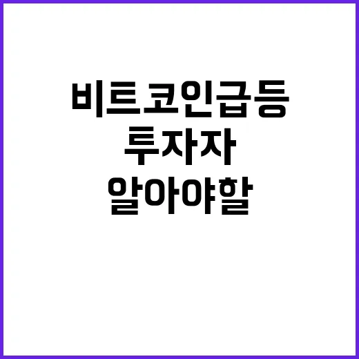 비트코인 급등에 대처하는 방법: 투자자라면 알아야 할 사항 - 요약