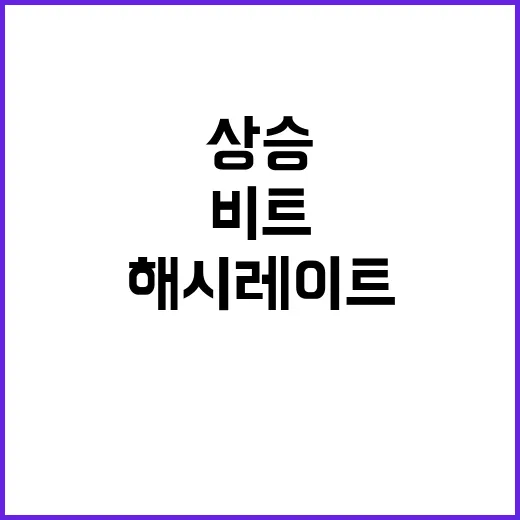 비트디어 해시레이트가 MARA를 넘어서고 주가가 상승하는 방법 - 요약