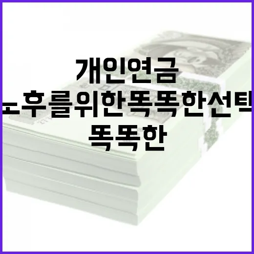 개인연금 준비하는 방법: 노후를 위한 똑똑한 선택 - 요약