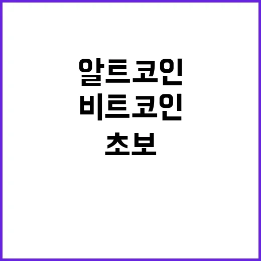 코인 초보가 화폐 관점으로 비트코인과 알트코인 판단하는 방법 - 요약