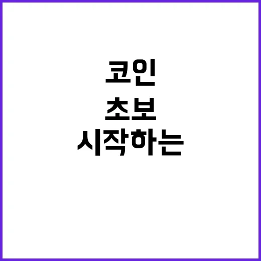 코인 투자 초보가 손실을 줄이려면 이렇게 시작하는 방법 - 요약