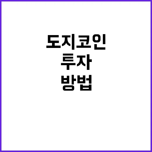 도지코인 투자하려면 이렇게 확인하고 접근하는 방법 - 요약