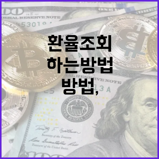 코인 투자자가 환율조회 제대로 하는 방법, 원화 기준 수익률 착각 줄이려면 이렇게 - 요약