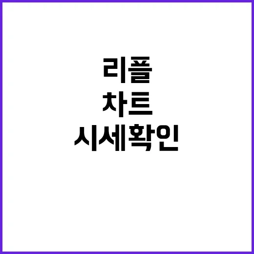 리플시세 확인하는 방법, 초보가 차트 전에 봐야 할 5가지 - 요약