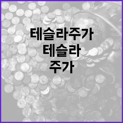테슬라주가 보려면 이렇게 확인하는 방법: 코인 투자자식 리스크 체크 - 요약