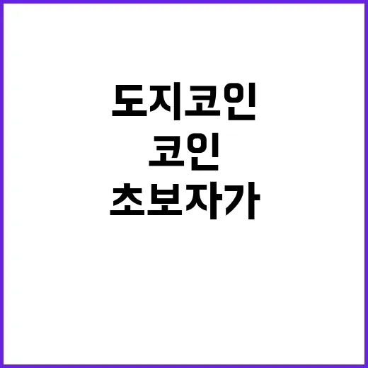 도지코인 초보자가 분위기에 휩쓸리지 않고 매수하려면 이렇게 보세요 - 요약