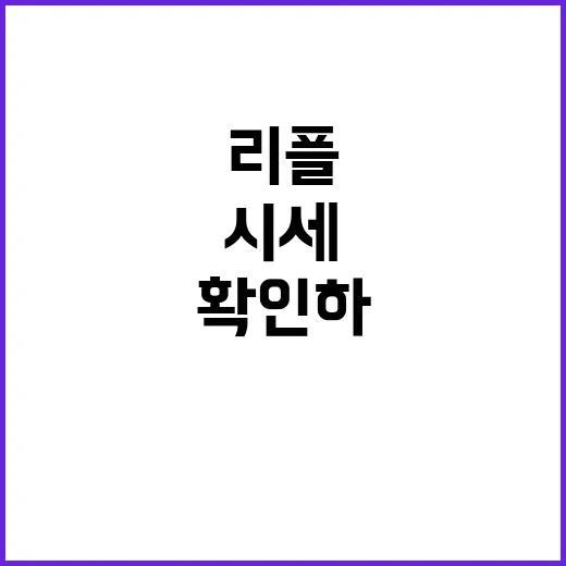 리플시세 확인하는 방법, 초보자가 가격만 보고 들어가지 않으려면 이렇게 - 요약