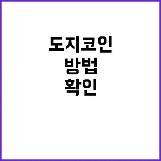 도지코인 초보가 분위기에 휩쓸리지 않고 확인하는 방법 - 요약