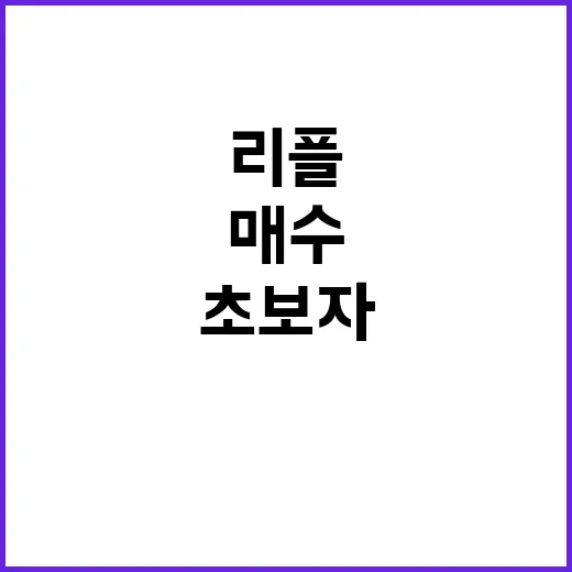 리플 초보자가 매수 전에 확인하는 방법 - 요약