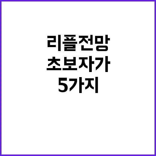 리플전망 초보자가 확인하는 방법: XRP를 살 때 먼저 보는 5가지 - 요약
