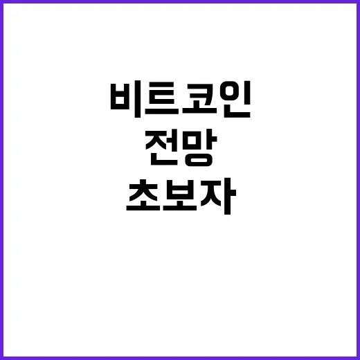 비트코인전망을 초보자가 직접 판단하는 방법 - 요약