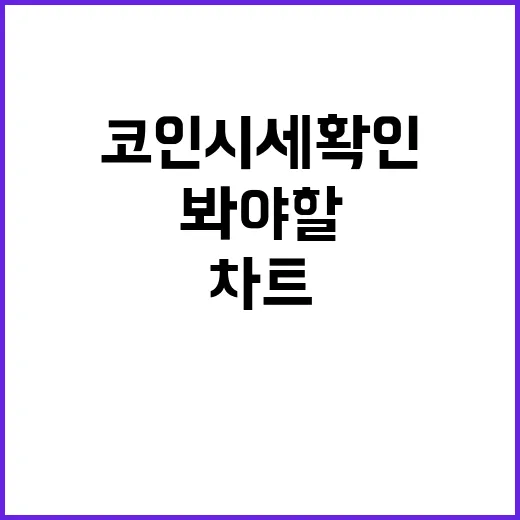 코인시세 확인하는 방법, 초보자가 차트보다 먼저 봐야 할 것들 - 요약
