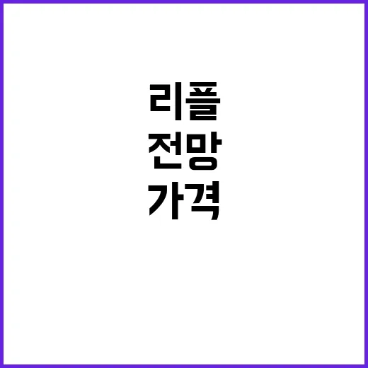 리플전망 판단하는 방법: 초보자가 가격보다 먼저 볼 5가지 - 요약