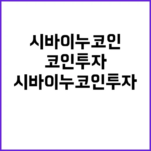 시바이누코인 투자하려면 이렇게 확인하고 들어가는 방법 - 요약