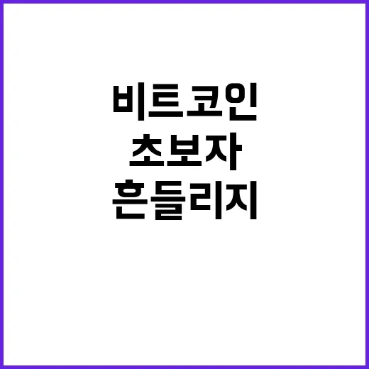 비트코인가격 초보자가 흔들리지 않고 확인하는 방법 - 요약