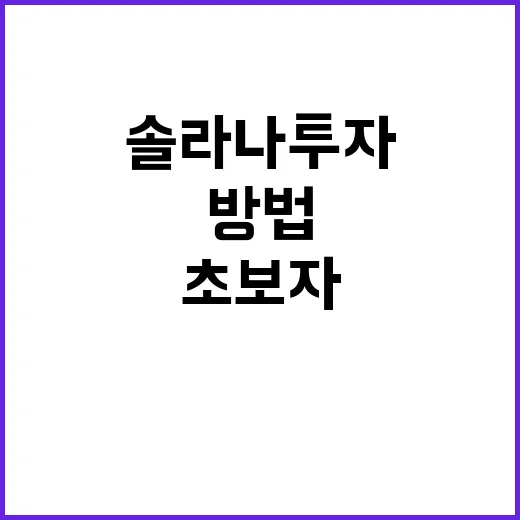 솔라나 투자 전에 직접 확인하는 방법: 초보자가 가격보다 먼저 볼 것들 - 요약