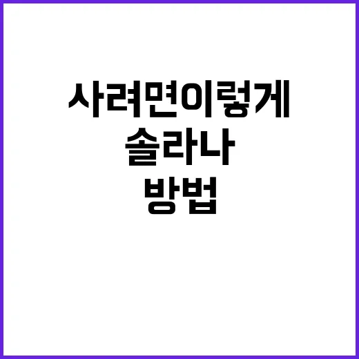 솔라나 처음 사려면 이렇게 확인하고 들어가는 방법 - 요약
