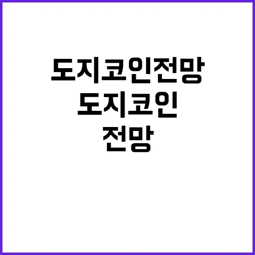 도지코인전망 보려면 이렇게 확인하는 방법 - 요약