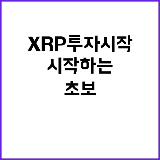 XRP 투자 시작하는 방법: 초보가 가격보다 먼저 확인할 것들 - 요약