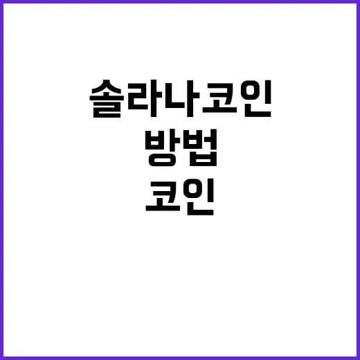 솔라나코인 처음 사려면 이렇게 확인하는 방법 - 요약