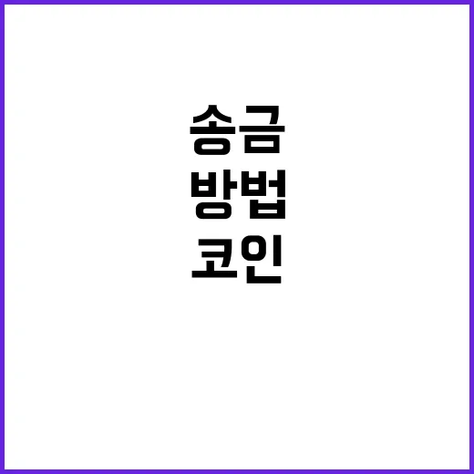 초보자가 XRP 매수 전에 확인하는 방법: 빠른 송금 코인이라는 말만 믿지 않기 - 요약