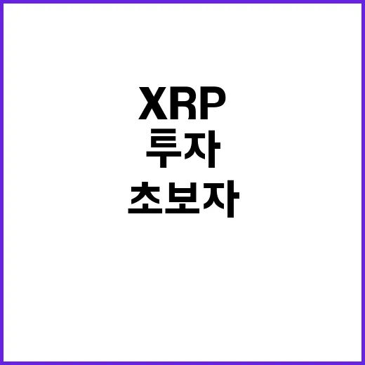 XRP 투자 판단하는 방법: 초보자가 먼저 확인할 것들 - 요약