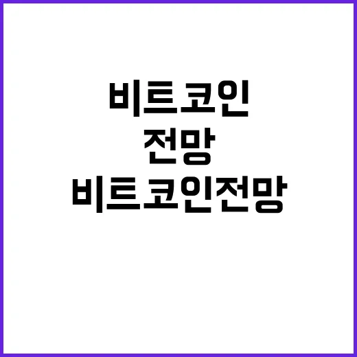 비트코인전망 직접 판단하는 방법: 가격보다 먼저 볼 5가지 - 요약