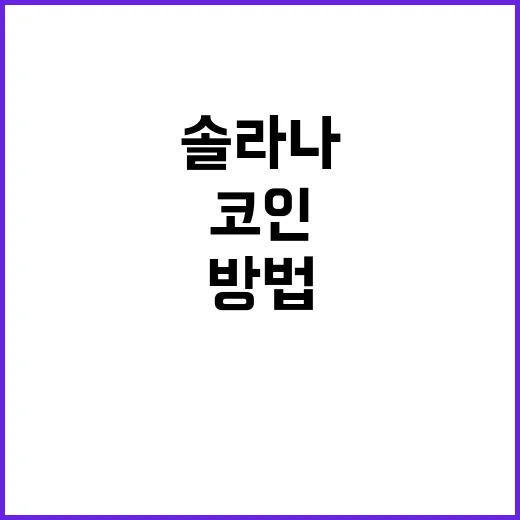 솔라나코인 초보자가 사기 전에 확인하는 방법 - 요약