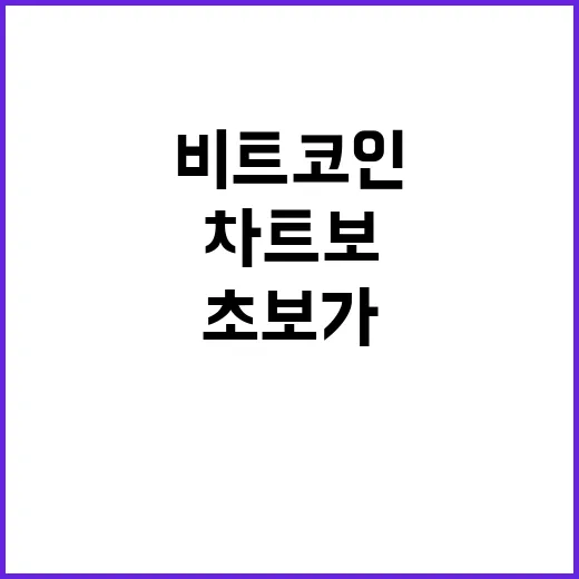 비트코인가격 직접 판단하는 방법, 초보가 차트보다 먼저 봐야 할 것들 - 요약