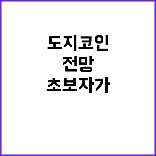 도지코인전망을 볼 때 초보자가 먼저 확인하는 방법 - 요약