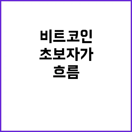 비트코인가격 흐름을 초보자가 직접 판단하는 방법 - 요약