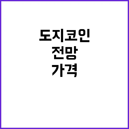 도지코인전망 확인하는 방법, 초보자는 가격보다 이것부터 봐야 합니다 - 요약