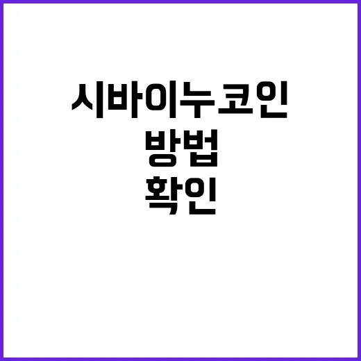 시바이누코인 사기 전에 직접 확인하는 방법 - 요약