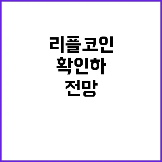 리플코인전망 확인하는 방법, 초보자는 가격보다 이 5가지를 먼저 보세요 - 요약