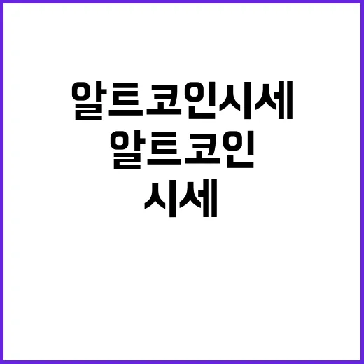 알트코인시세 확인하는 방법, 초보가 가격만 보고 들어가지 않으려면 이렇게 - 요약
