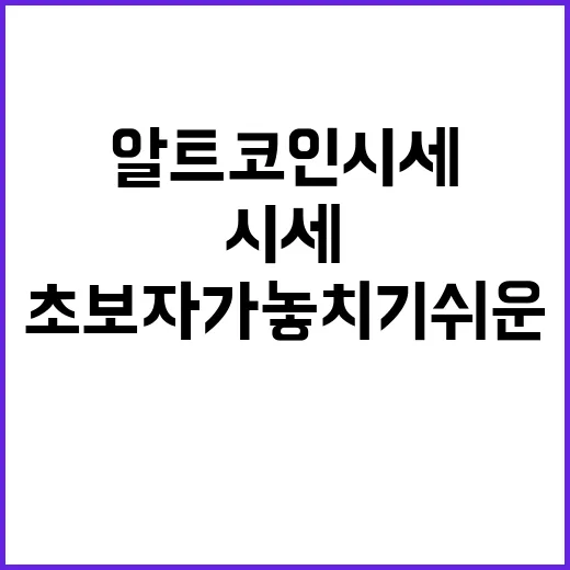 알트코인시세 보려면 이렇게 확인하세요: 초보자가 놓치기 쉬운 기준들 - 요약
