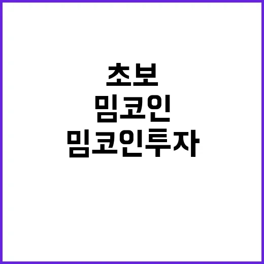밈코인 투자하는 방법: 초보가 분위기에 휩쓸리지 않으려면 이렇게 봅니다 - 요약
